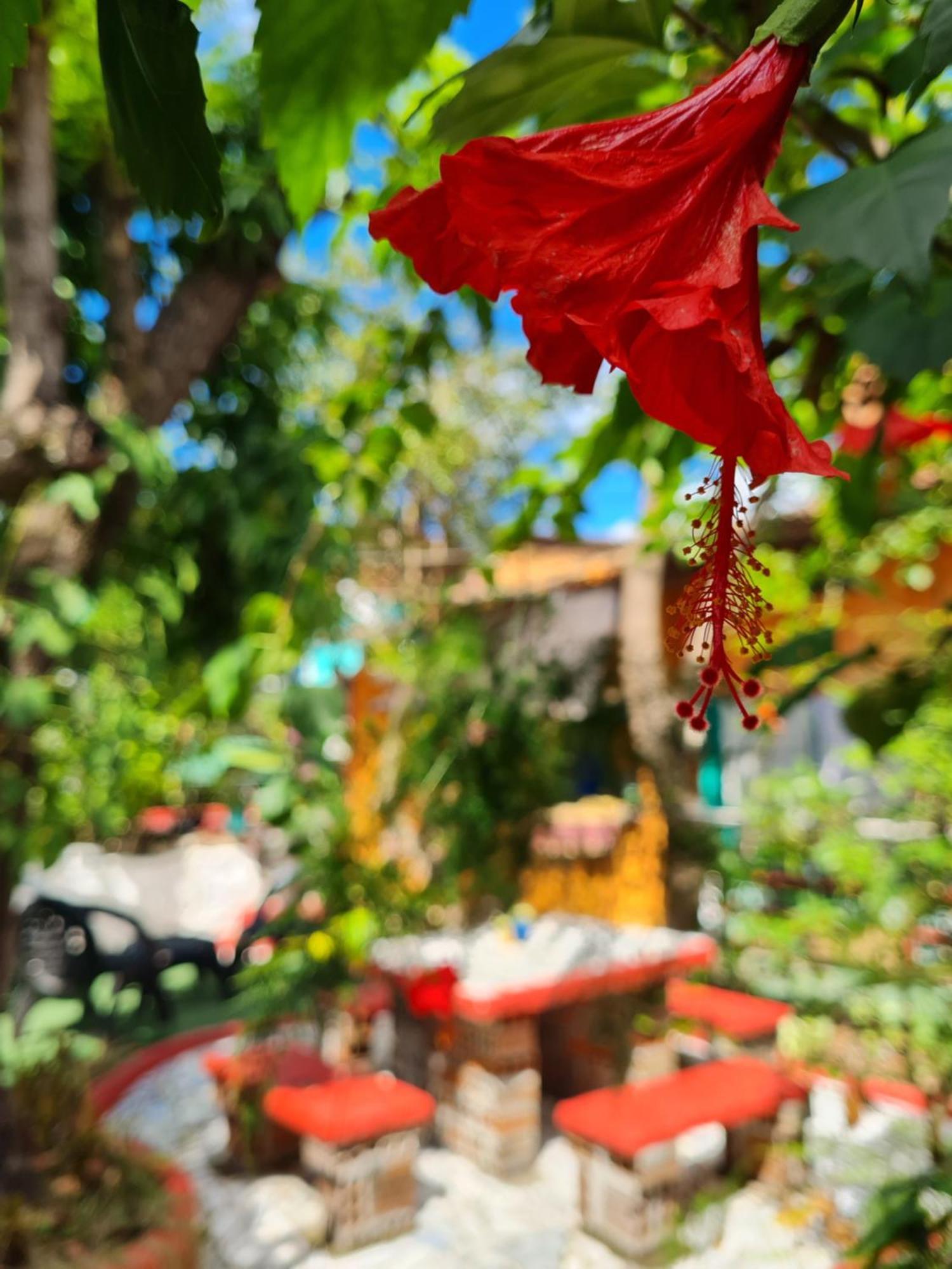Hi Hostel Chapada Lencois Εξωτερικό φωτογραφία